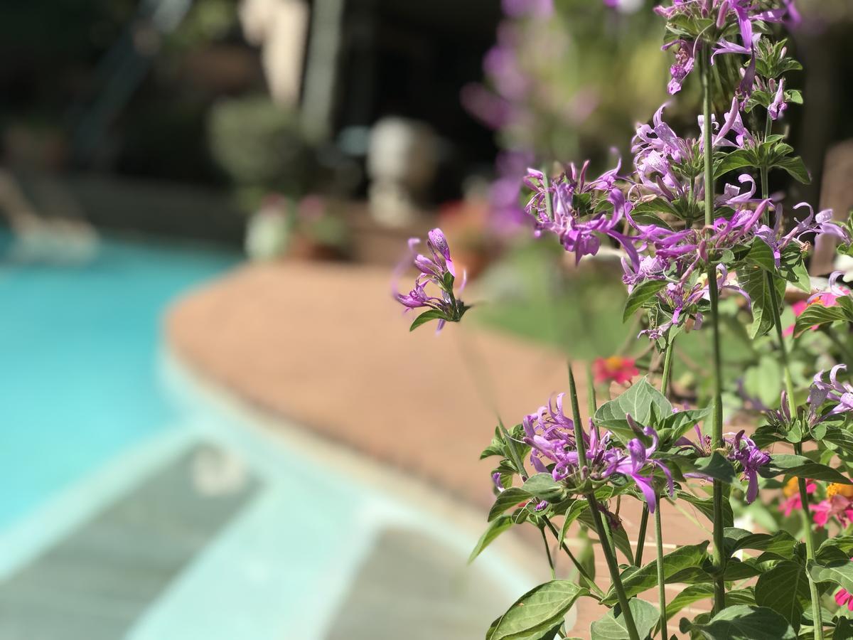 Claires Of Sandton Luxury Guest House Johannesburg Exterior foto